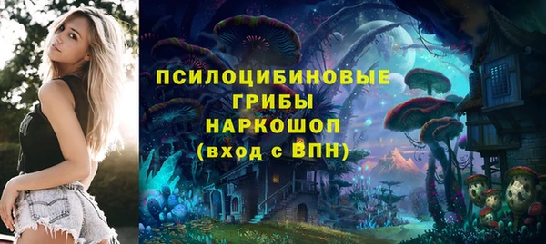 Альфа ПВП Заволжск