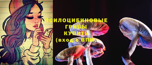 Альфа ПВП Заволжск