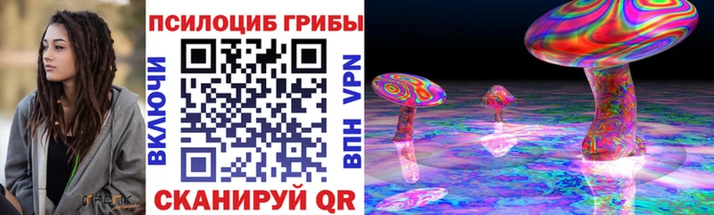 Купить где  Никольское  Псилоцибиновые грибы Cubensis 